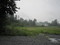 Park_2_010