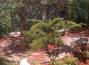 Kdk_8739