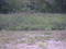 Dsc01516