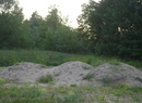 Dsc01509