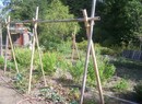 Edgarden