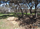 Dsc00504
