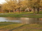 Allan Saxe Park
