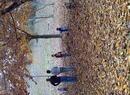 Img-20111120-00237