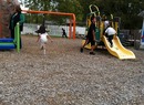 Gardening_playground_carpenter's_point_013