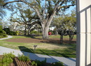 City Park
