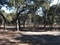 Armadillo Neighborhood Park
