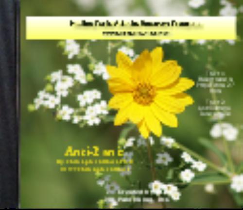 Additional product image for Healing Panic Recovery Program in Health eBooks Additional product image for Healing Panic Recovery Program in Health eBooks