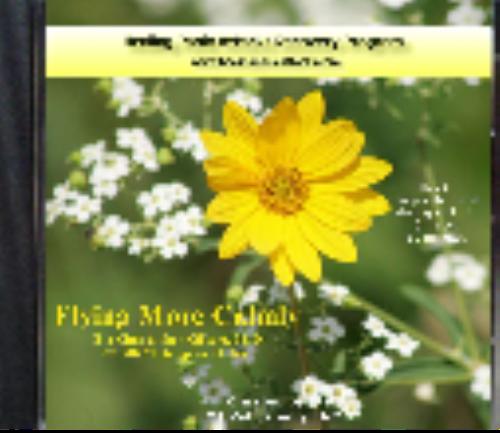 Additional product image for Healing Panic Recovery Program in Health eBooks Additional product image for Healing Panic Recovery Program in Health eBooks
