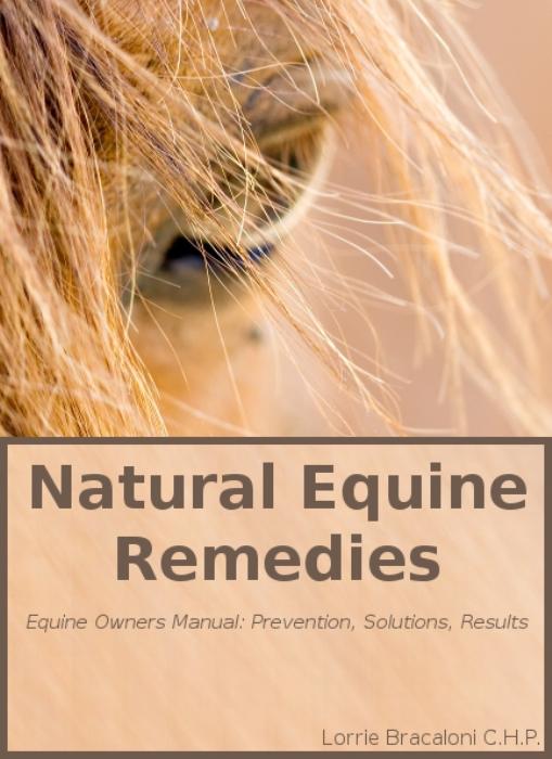 Additional product image for Natural Equine Remedies in Pets eBooks