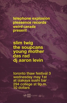 Torontothawsmall-1