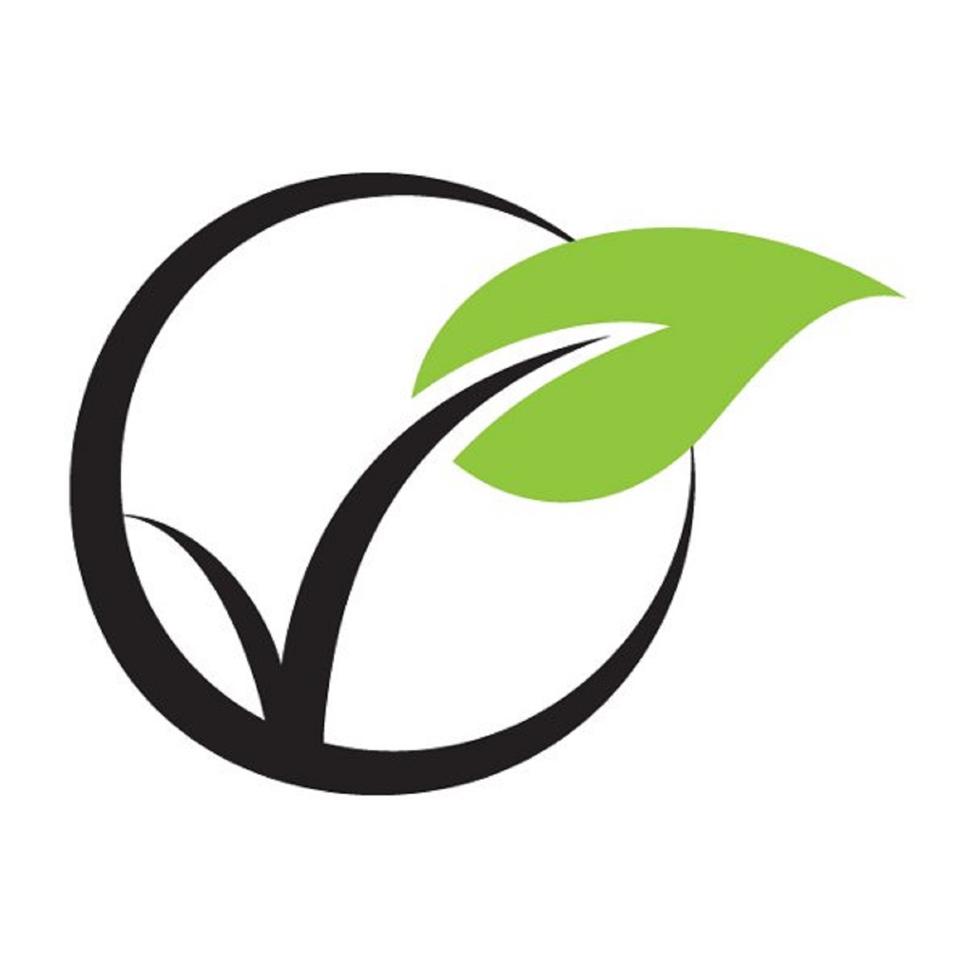 ecclesia: church at the chip