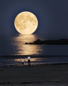 Episode 13: The honey moon