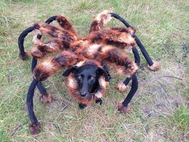 Episode 31: Extreme Falloween