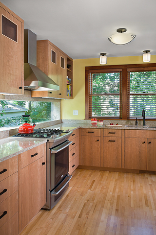 Kitchen_stove_sink_dr-ss_large