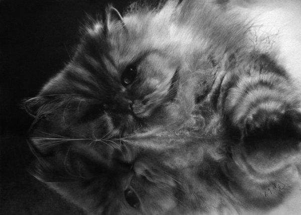 Impressive Cats Drawings by Paul Lung - Pondly