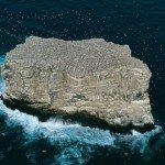 Earth From Above by Yann Arthus-Bertrand