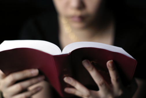 Imagem de capa - Bíblia em 1 ano - Leia o 244º dia