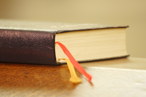 Imagem de capa - Bíblia em 1 ano - Leia o 303º dia