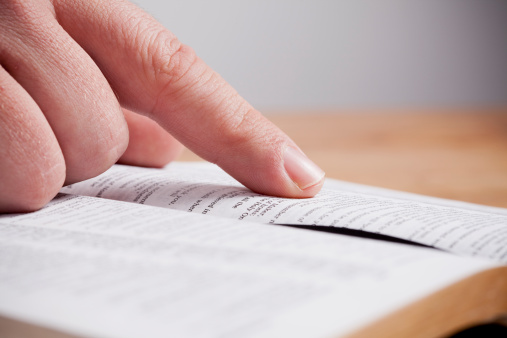 Imagem de capa - Bíblia em 1 ano - Leia o 202º dia