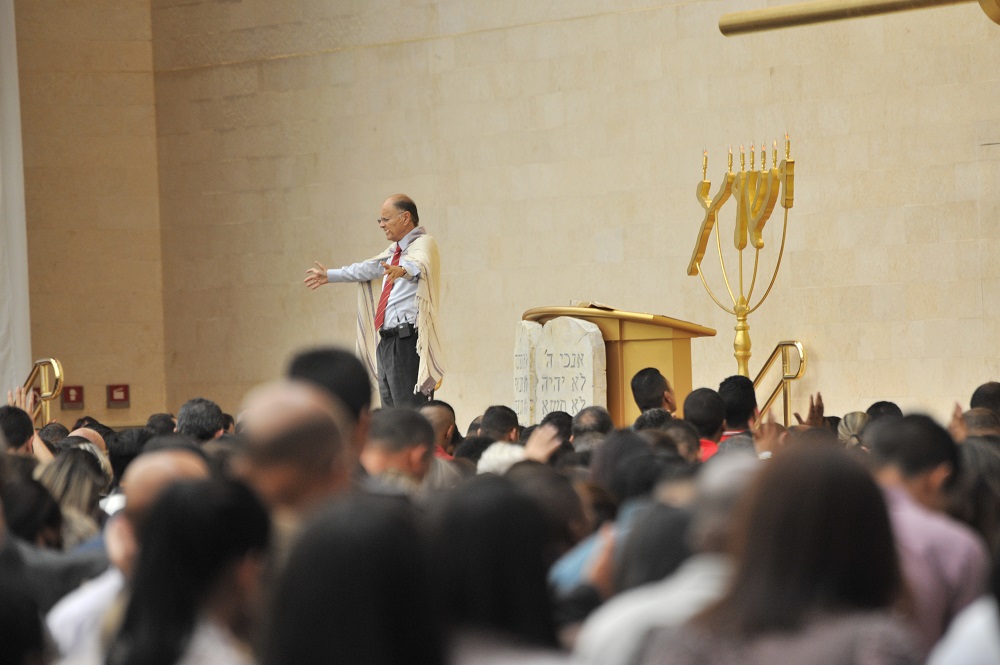 Imagem de capa - Duas árvores, uma palavra