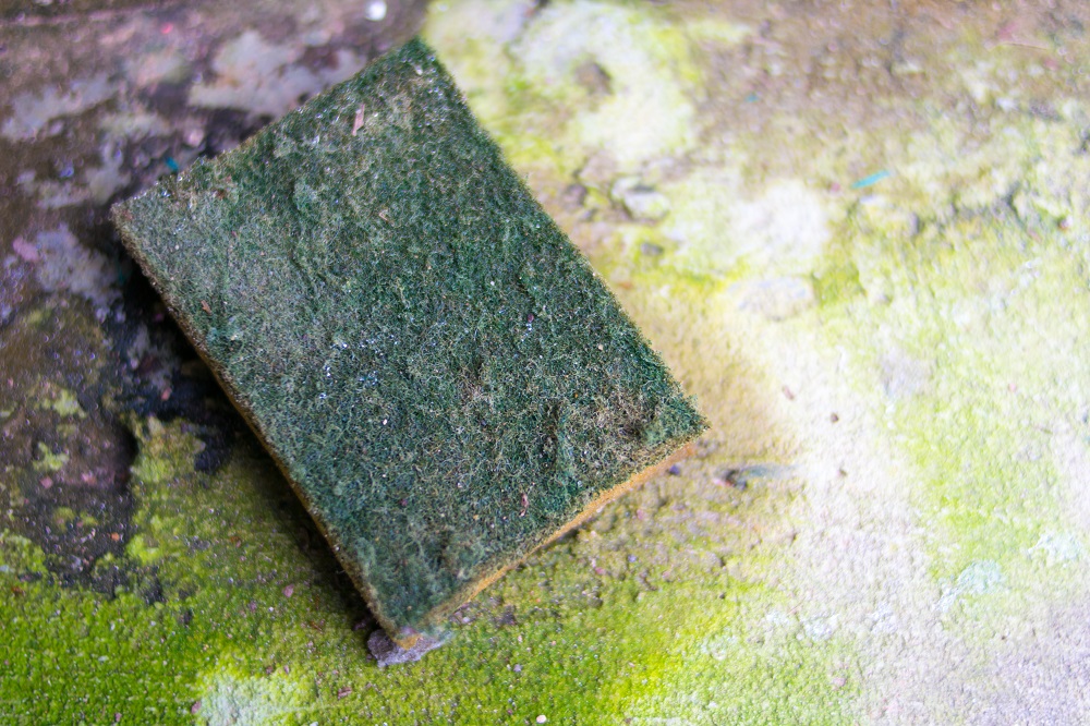 Imagem de capa - Cuidado! Sua esponja é ninho de bactérias