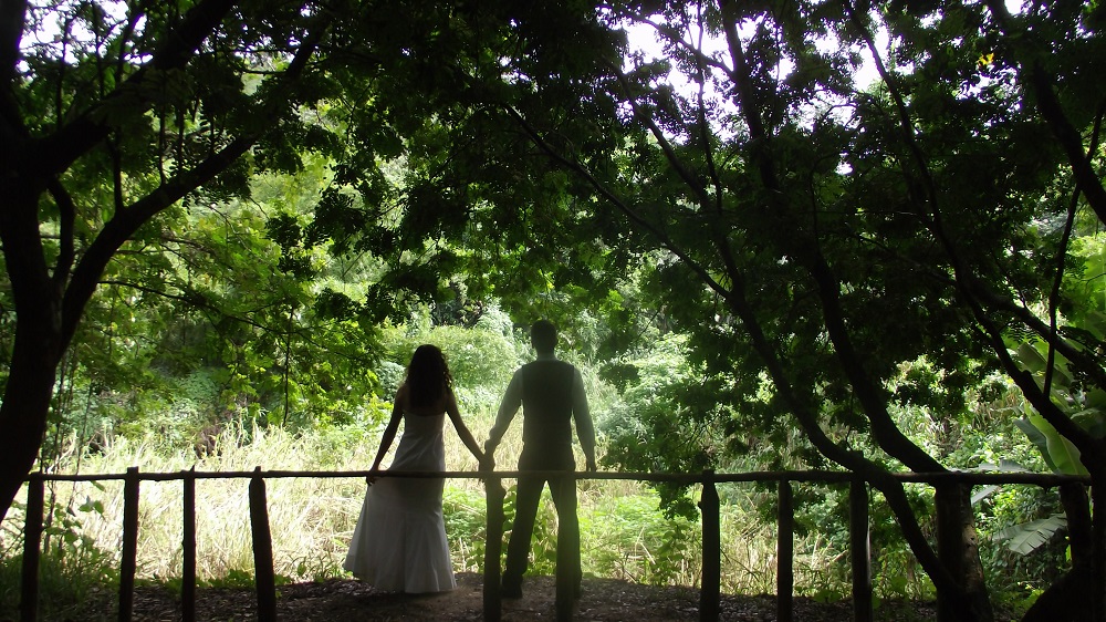 Imagem de capa - Quando a carreira vem antes do amor