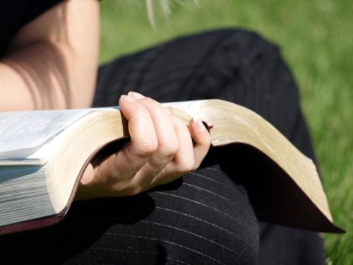 Imagem de capa - Bíblia em 1 ano - Leia o 231º dia