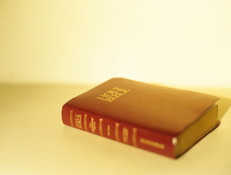 Imagem de capa - Bíblia em 1 ano - Leia o 240º dia