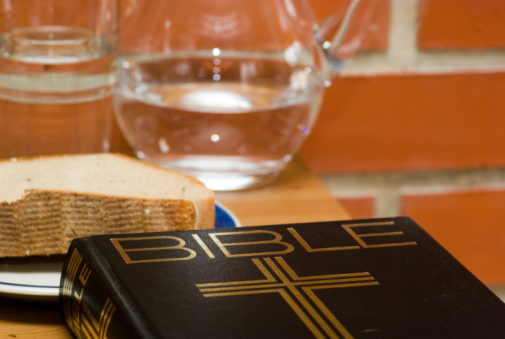 Imagem de capa - Bíblia em 1 ano - Leia o 232º dia