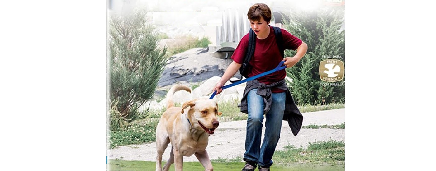 Para assistir durante o Jejum de Daniel: “Uma amizade verdadeira”