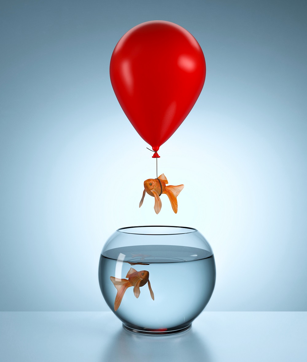 Imagem de capa - 21 dias que mudarão sua vida