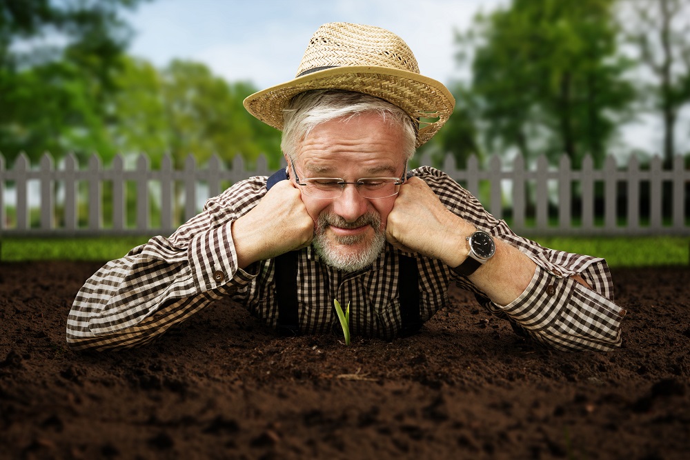 Imagem de capa - O Jejum de Daniel é para todos