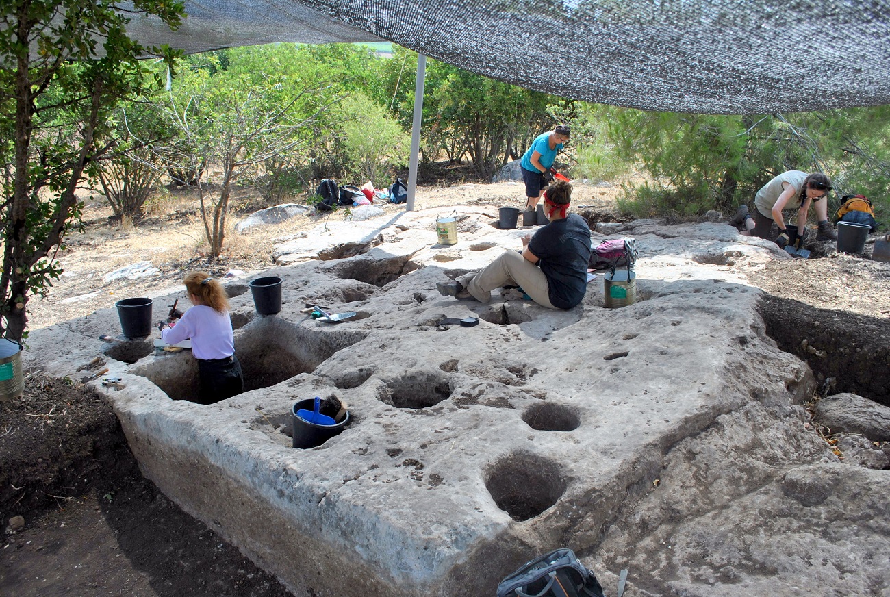 Imagem de capa - Realmente havia uma vinha Jizreel, como a Bíblia narra