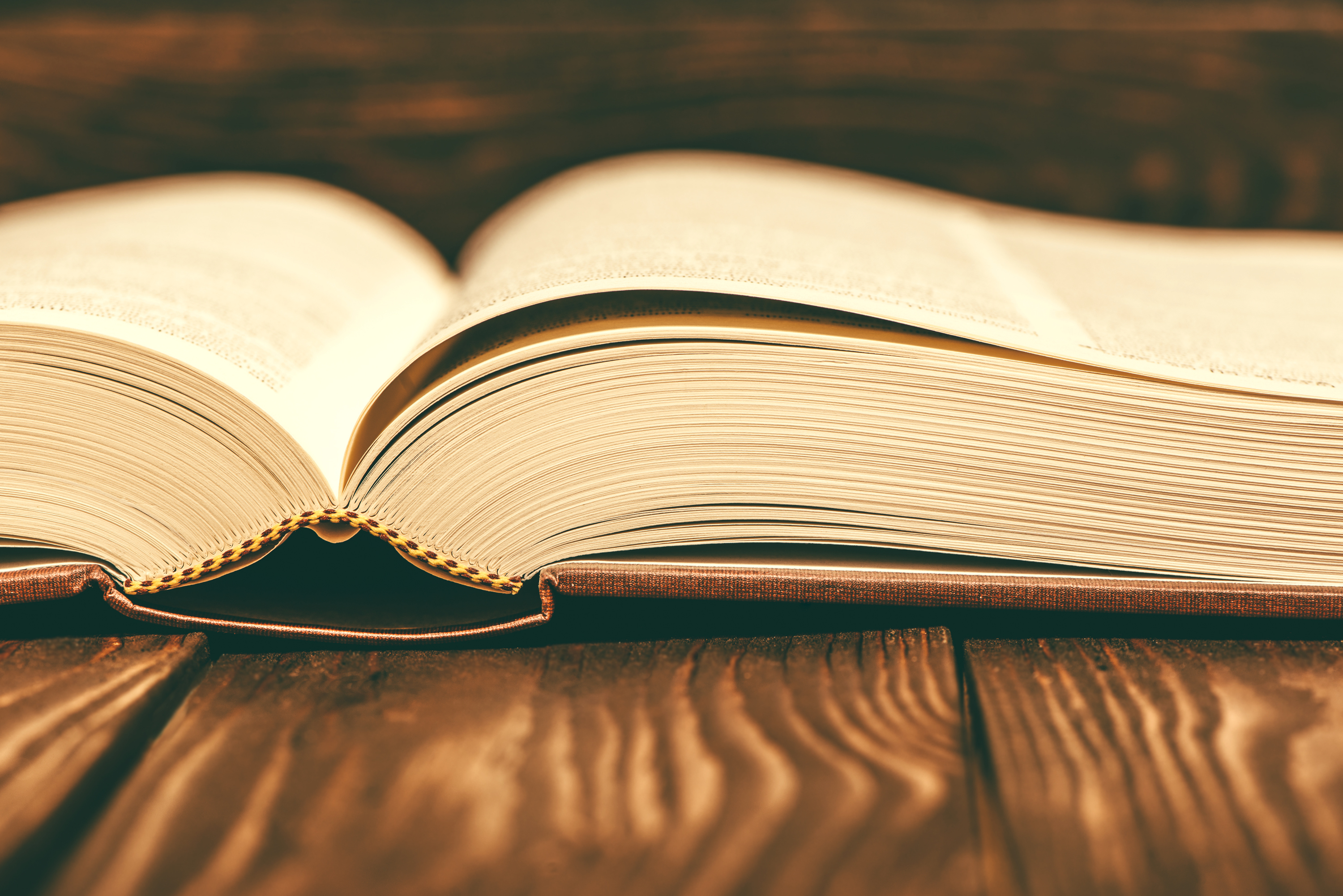 Imagem de capa - Bíblia em 1 ano - Leia o 361º dia