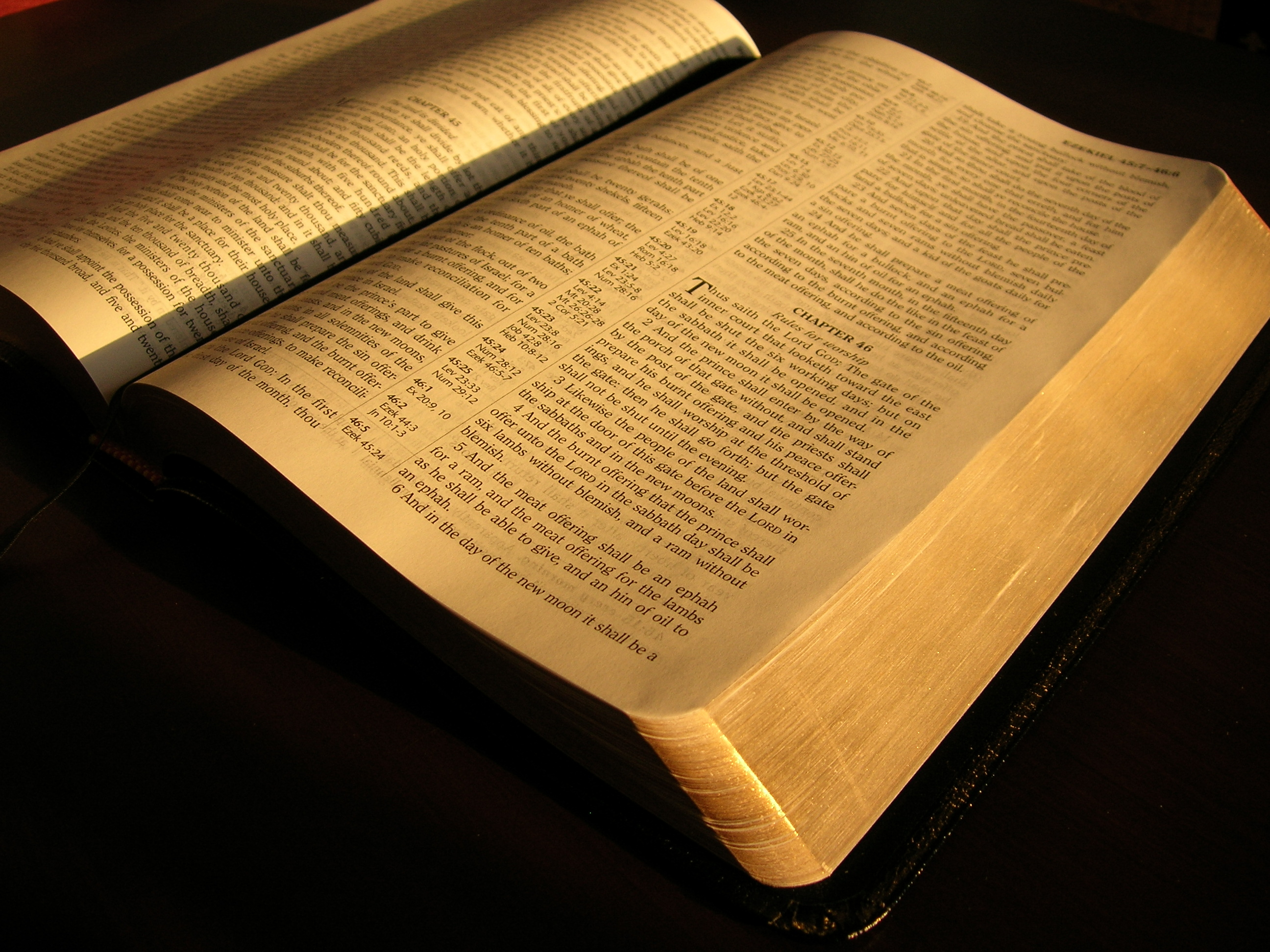 Imagem de capa - Bíblia em 1 ano - Leia o 340º dia