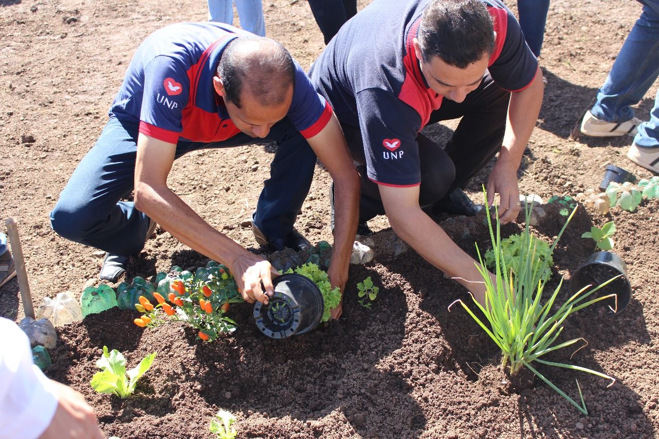 Horta é instalada em presídio de Palmas, no Tocantins, para ajudar na ressocialização de presos