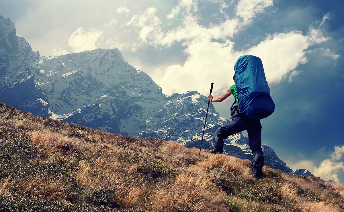 Imagem de capa - A jornada em direção ao sucesso