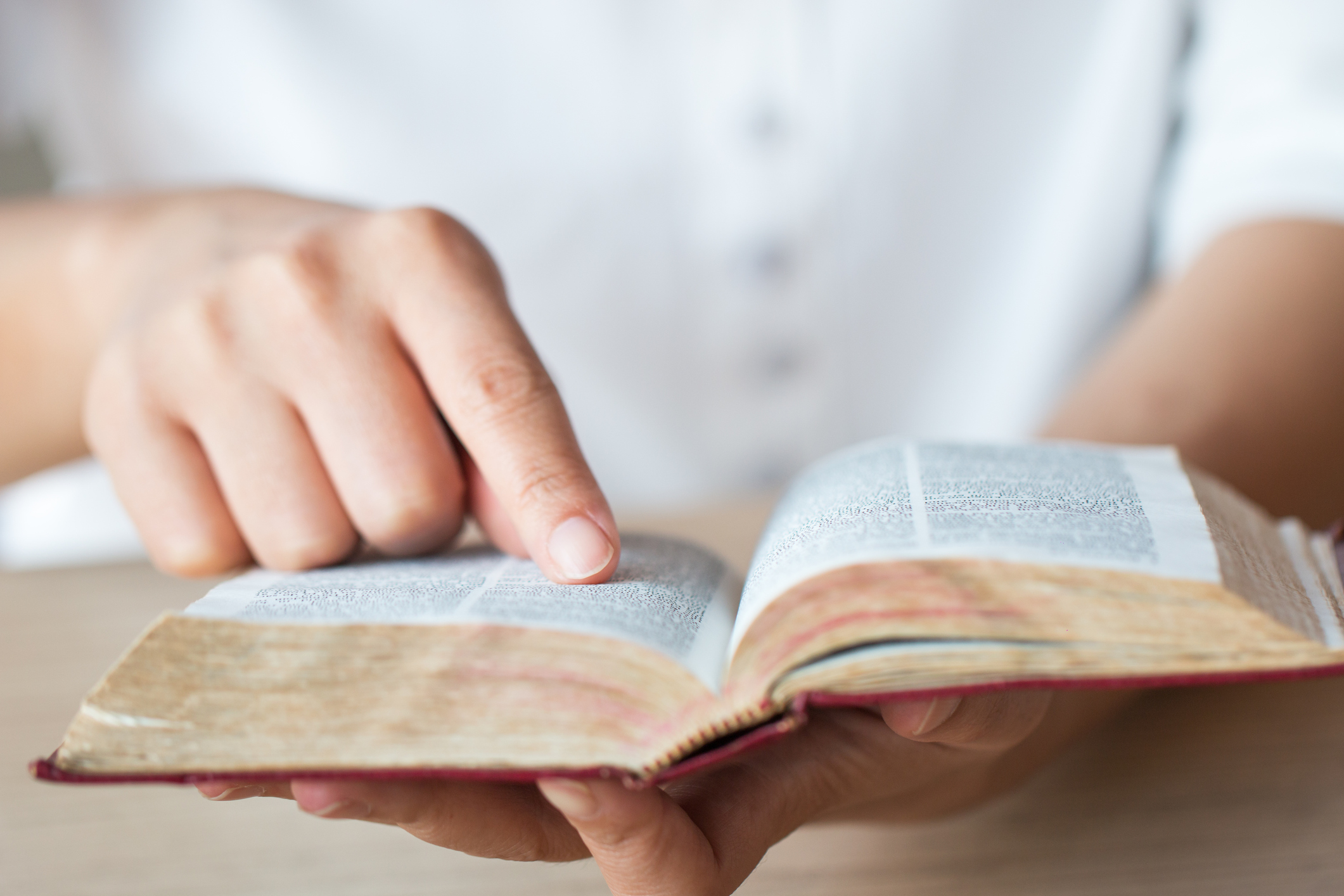 O Dia da Bíblia para fundamentar a sua fé