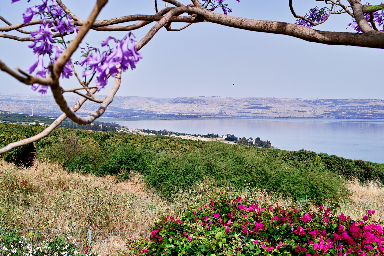 Imagem de capa - Conheça a “Cidade de Jesus”, cenário de muitos milagres do Messias