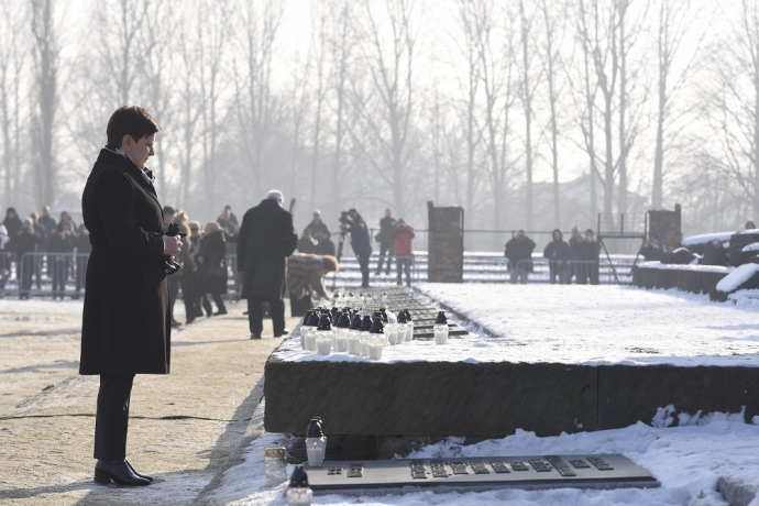 Imagem de capa - A memória do Holocausto