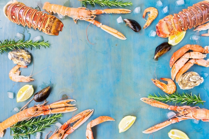 Por que você precisa ter cuidado com os frutos do mar?