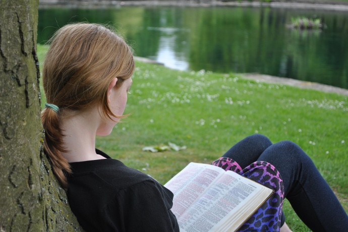 Imagem de capa - Como ler a Bíblia?