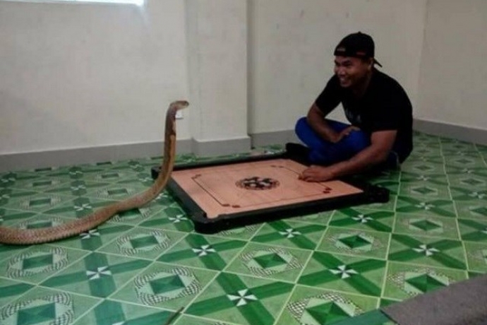 Imagem de capa - Homem se casa com cobra por acreditar que o animal é uma reencarnação da namorada que morreu