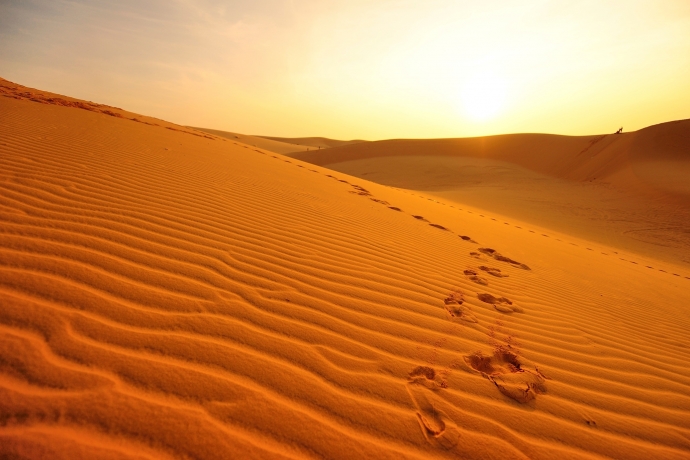 Imagem de capa - Deus e o diabo te levam ao deserto. Quem você vai seguir?