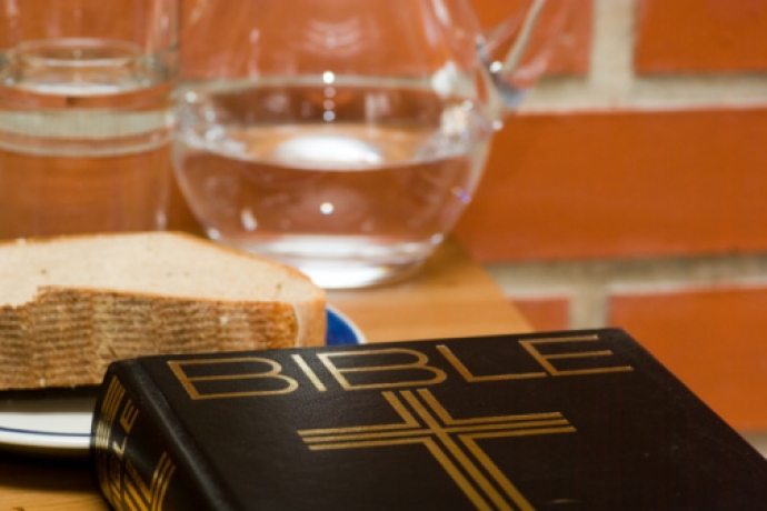 Imagem de capa - Leia a Bíblia em 1 ano - 29º dia