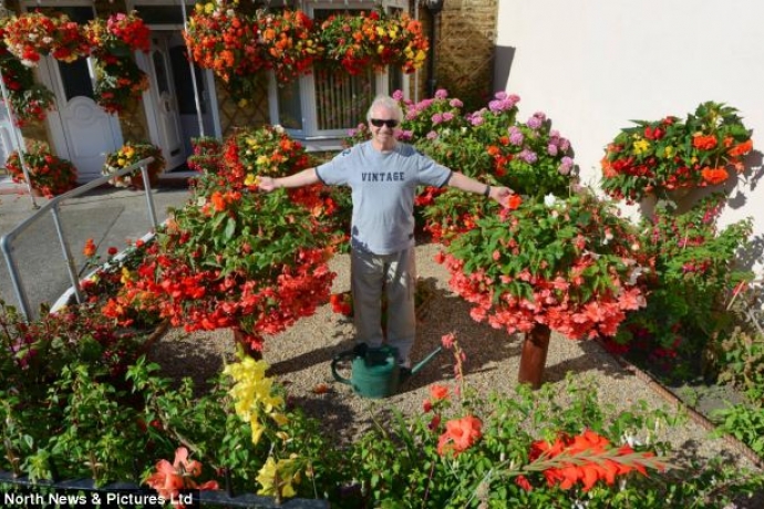 Imagem de capa - Ele não enxerga, mas cultiva um jardim admirável