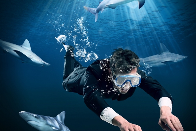 Imagem de capa - Homem de Honra