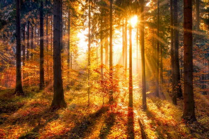 2016 pode ser o ano mais quente da história