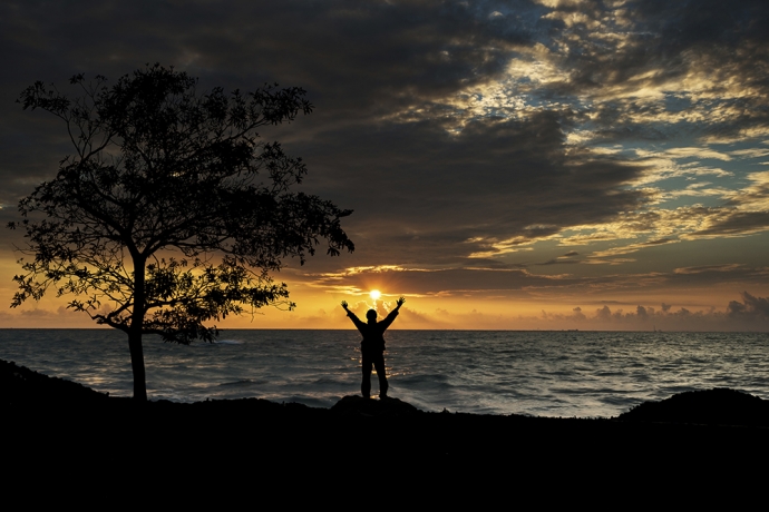 Imagem de capa - O valente jamais será desamparado